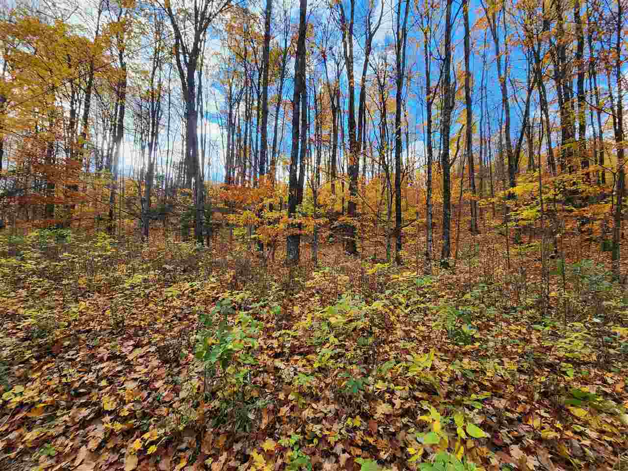 1329 Zink Road Boyne City MI 49712