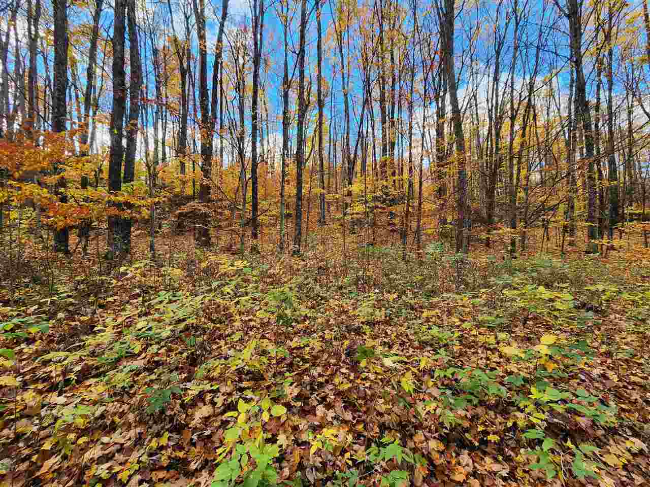 1329 Zink Road Boyne City MI 49712