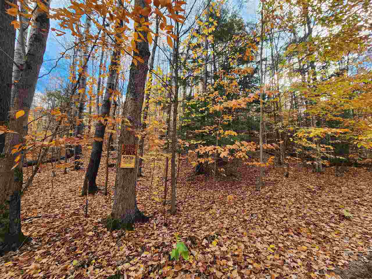 1329 Zink Road Boyne City MI 49712