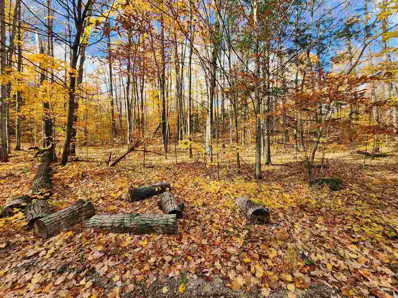 1329 Zink Road Boyne City MI 49712