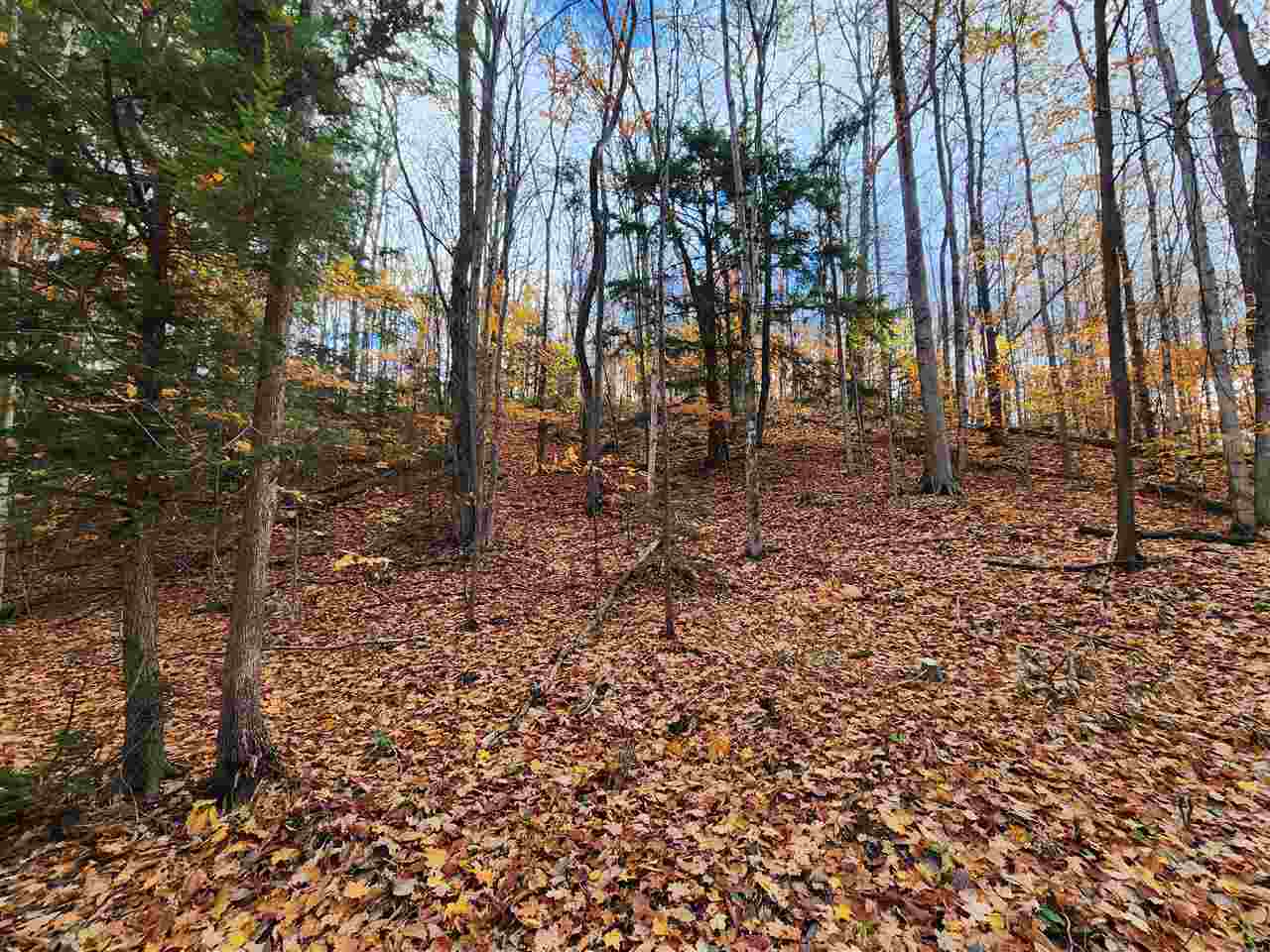 1329 Zink Road Boyne City MI 49712