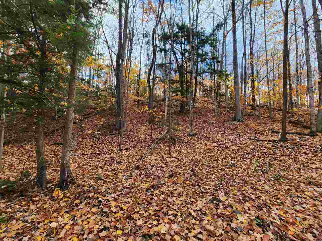 1329 Zink Road Boyne City MI 49712