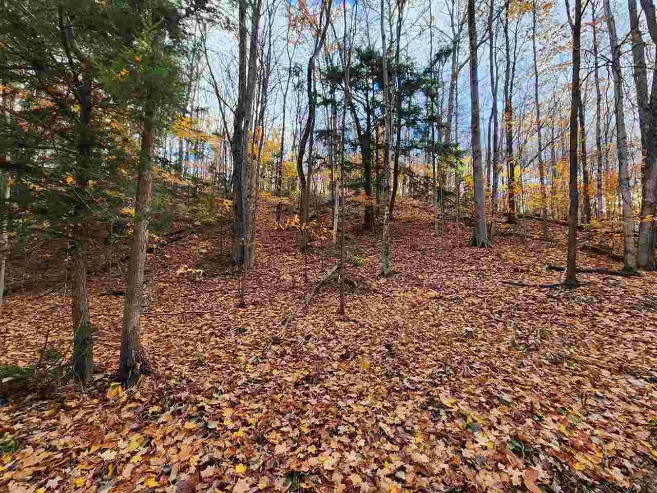 1329 Zink Road Boyne City MI 49712