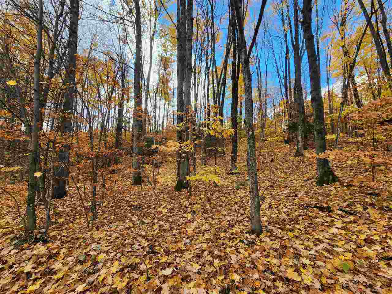 1329 Zink Road Boyne City MI 49712