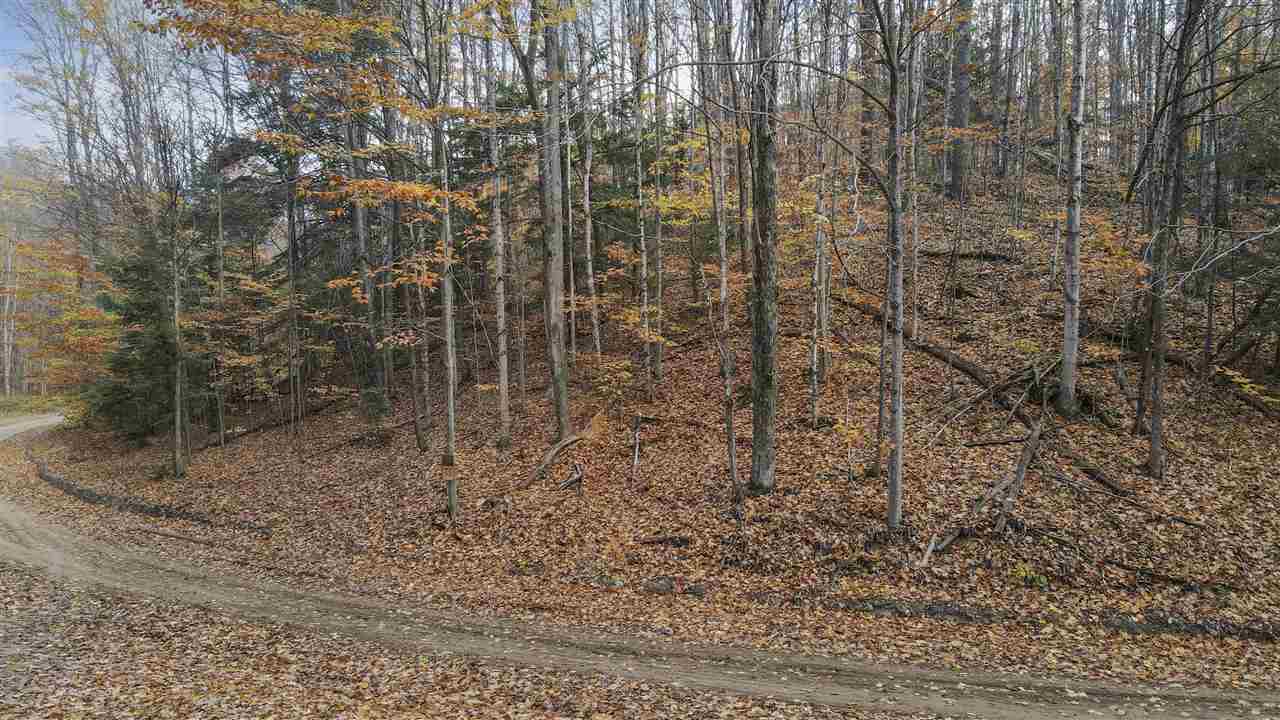 1329 Zink Road Boyne City MI 49712