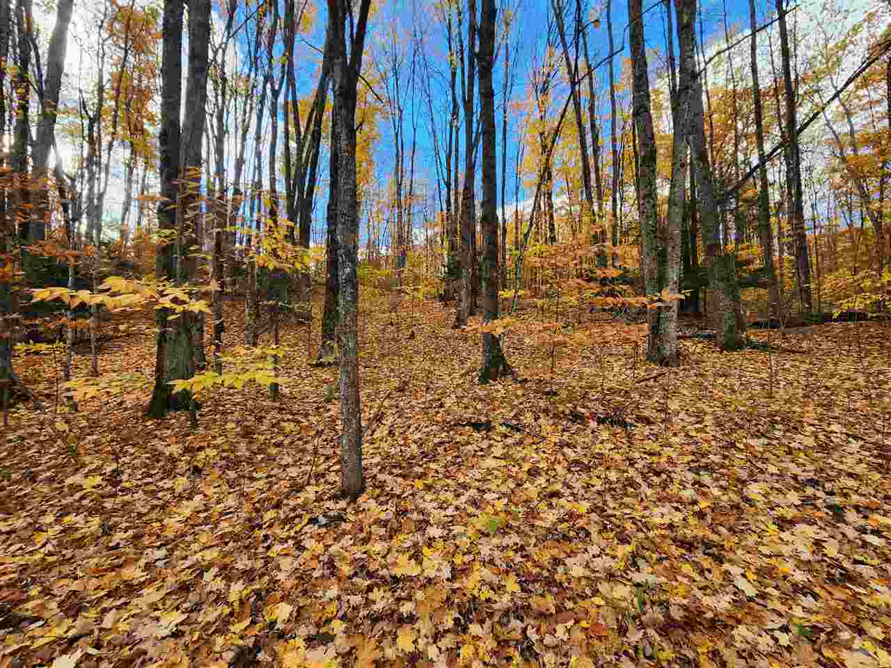 1329 Zink Road Boyne City MI 49712