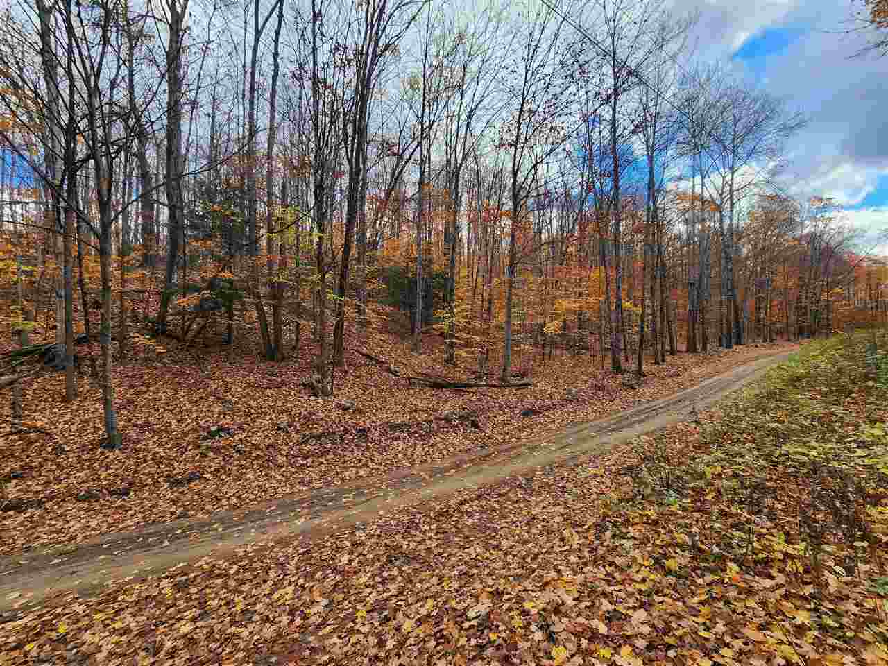 1329 Zink Road Boyne City MI 49712