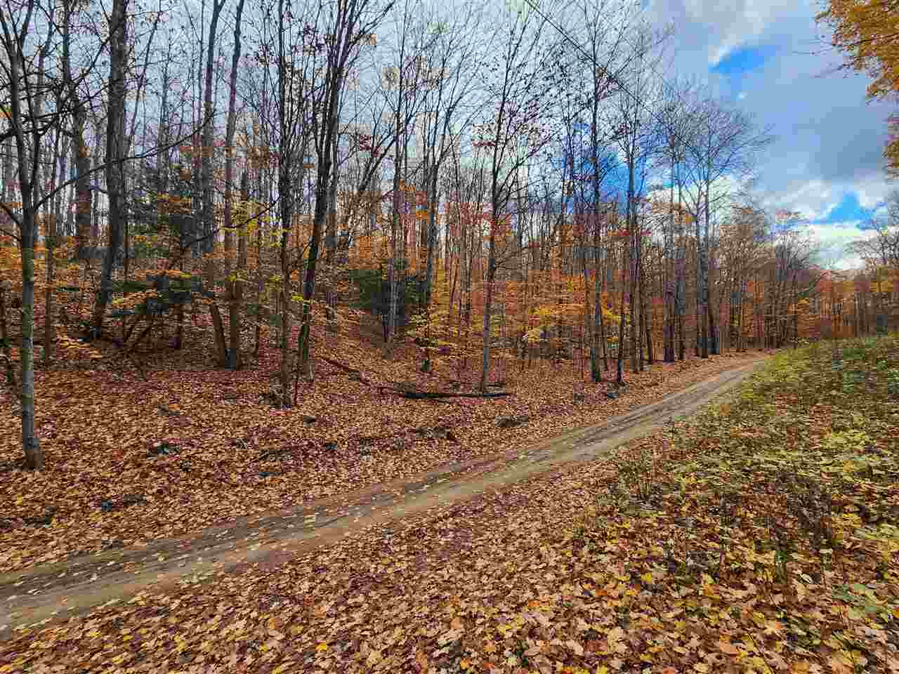 1329 Zink Road Boyne City MI 49712