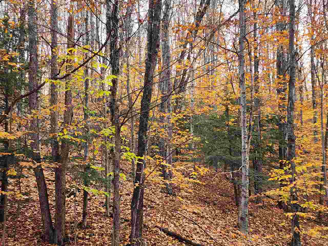 1329 Zink Road Boyne City MI 49712