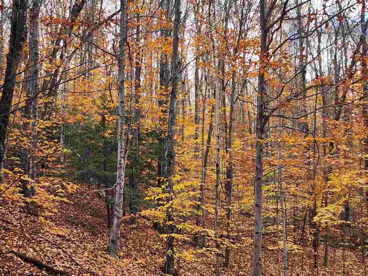 1329 Zink Road Boyne City MI 49712