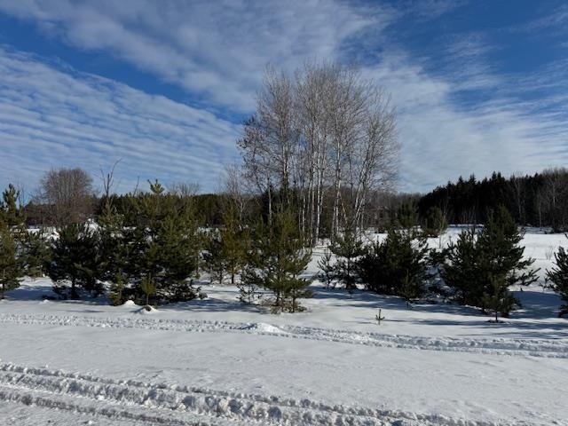 Tbd S Us 131 Boyne Falls MI 49713