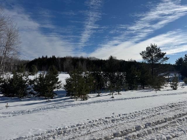 Tbd S Us 131 Boyne Falls MI 49713