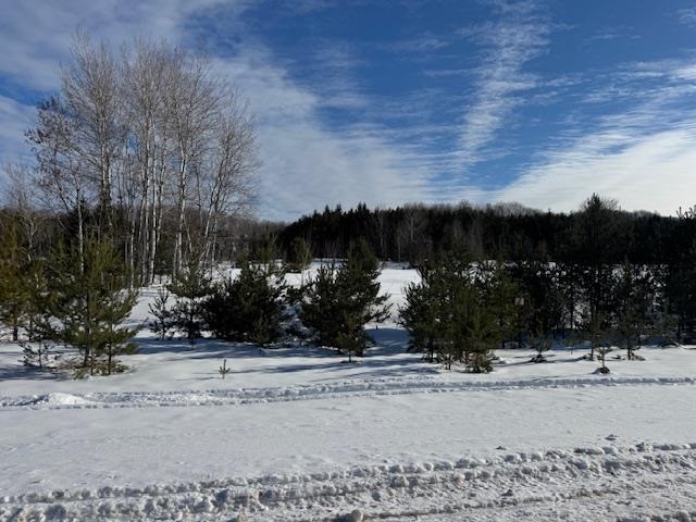 Tbd S Us 131 Boyne Falls MI 49713