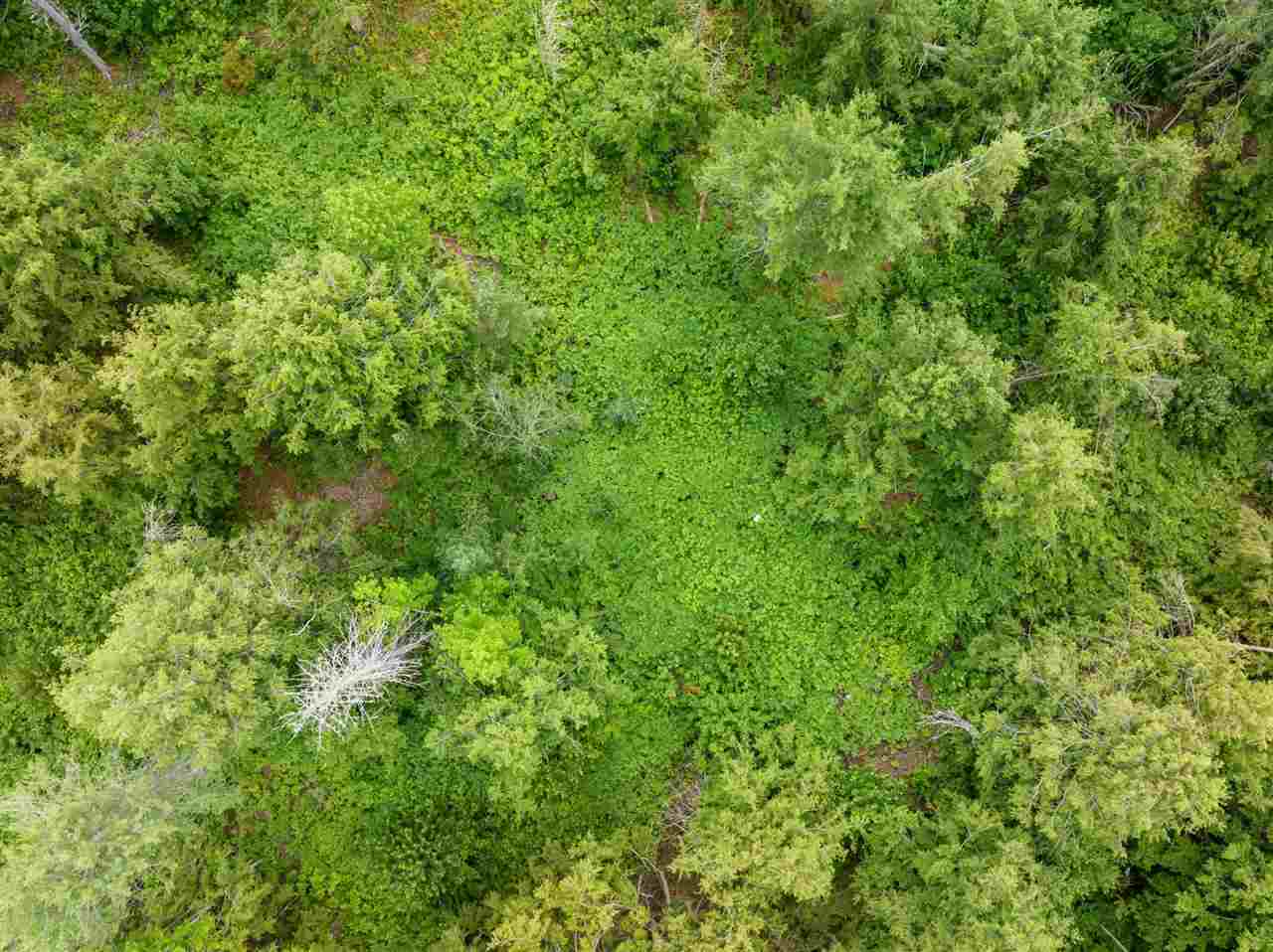 5206 Prout Road Naubinway MI 49762