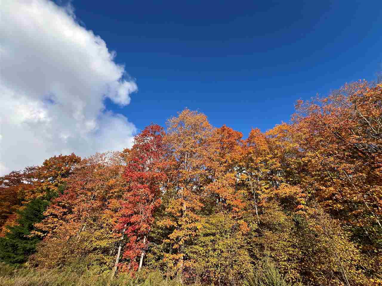 Tbd Old Horton Bay Road Boyne City MI 49712