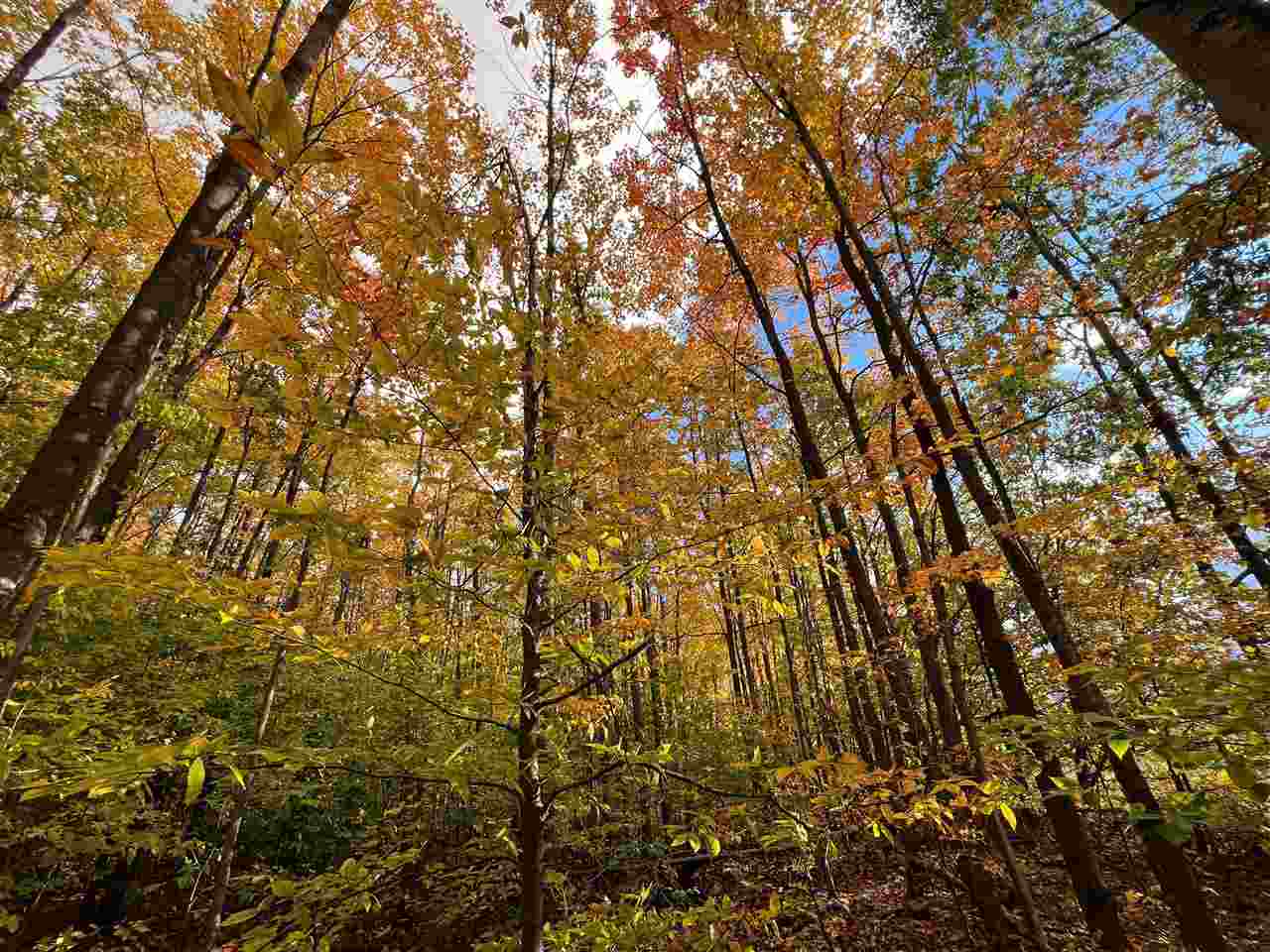 Tbd Old Horton Bay Road Boyne City MI 49712