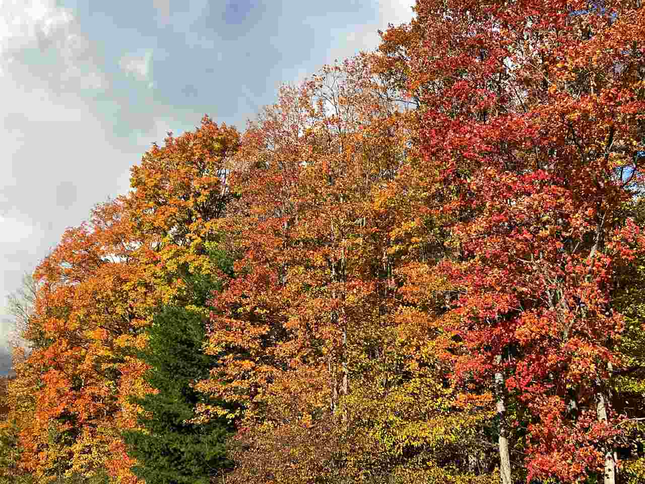 Tbd Old Horton Bay Road Boyne City MI 49712