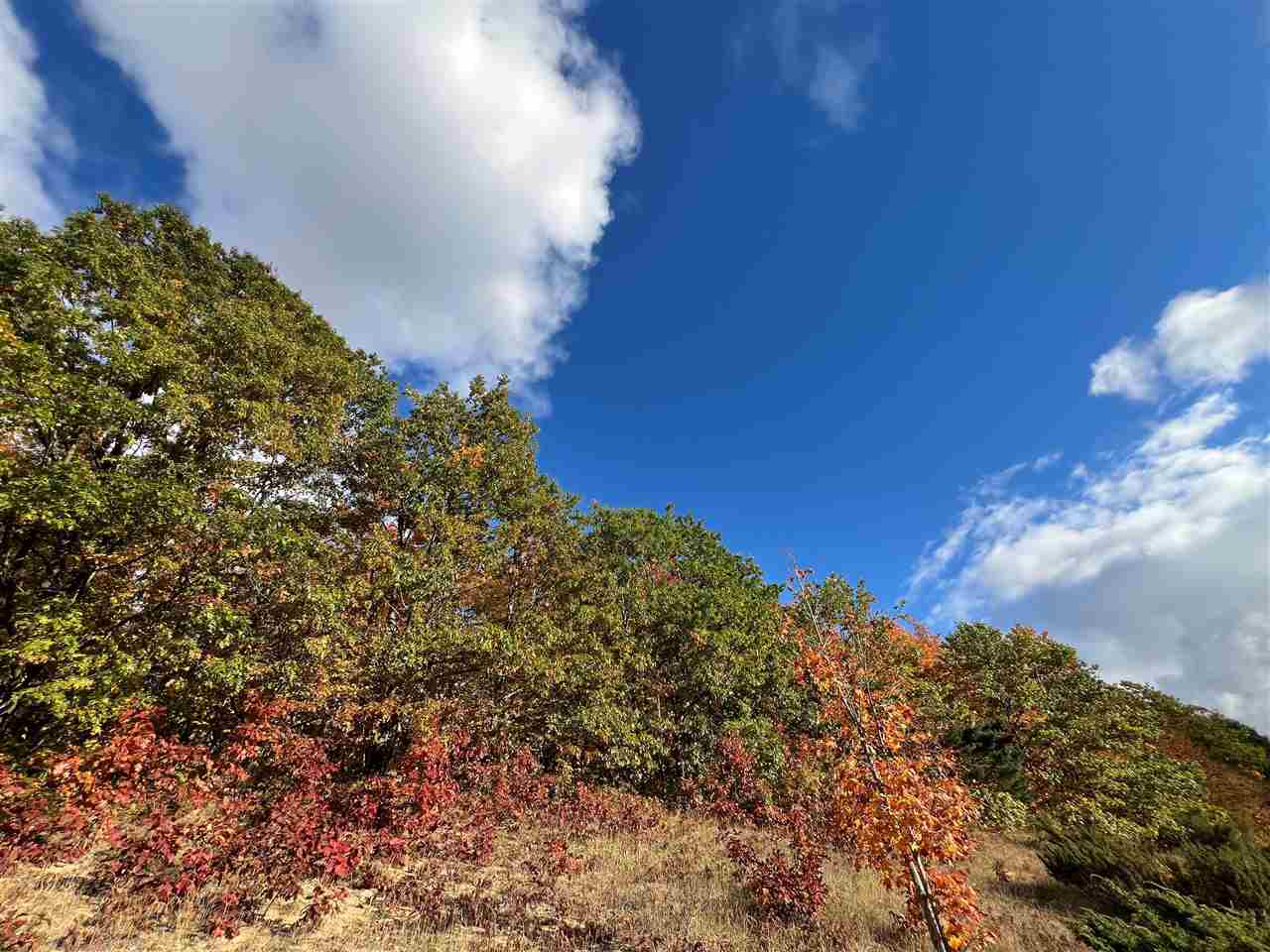 Tbd Old Horton Bay Road Boyne City MI 49712