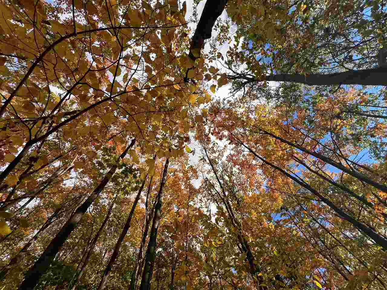 Tbd Old Horton Bay Road Boyne City MI 49712