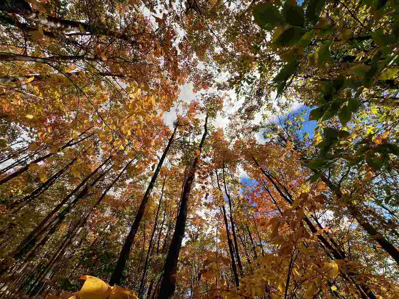 Tbd Old Horton Bay Road Boyne City MI 49712