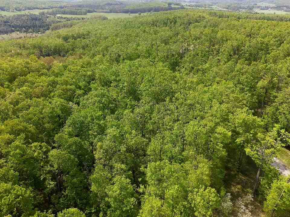 3402 Needles Drive Harbor Springs MI 49740