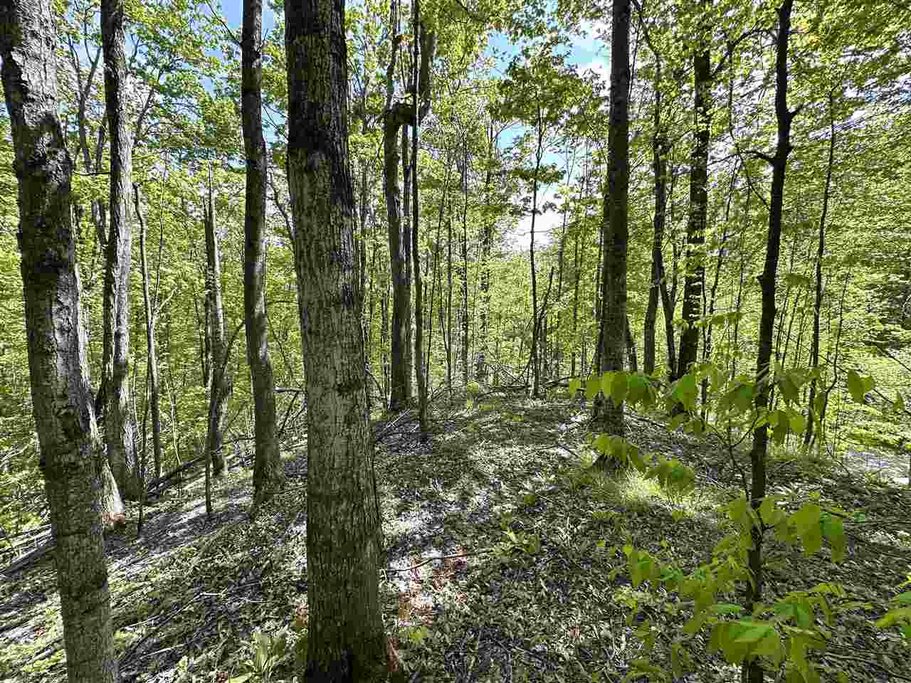 3402 Needles Drive Harbor Springs MI 49740