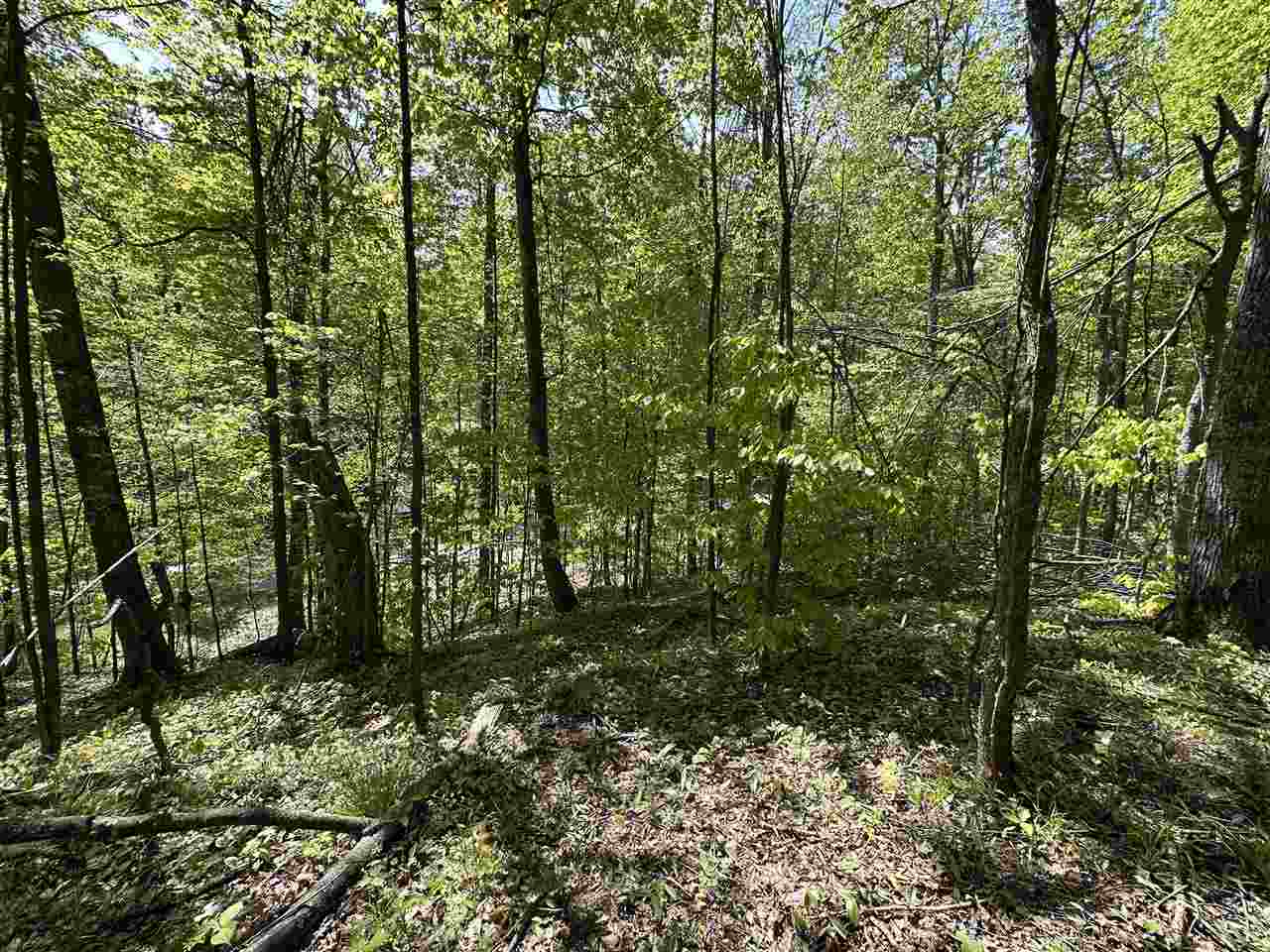 3402 Needles Drive Harbor Springs MI 49740