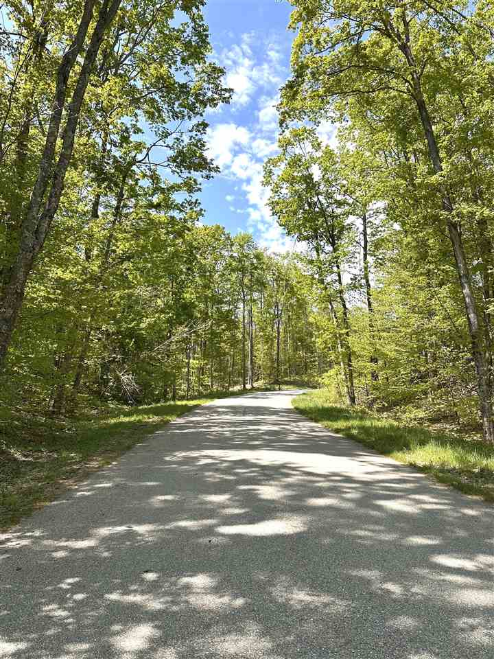 3402 Needles Drive Harbor Springs MI 49740