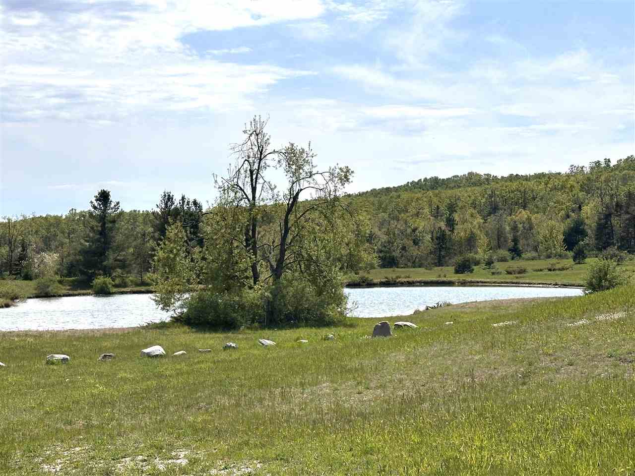 3402 Needles Drive Harbor Springs MI 49740