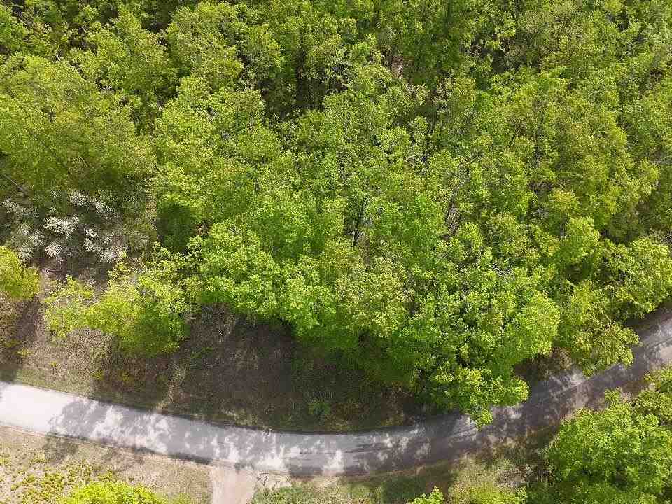 3402 Needles Drive Harbor Springs MI 49740