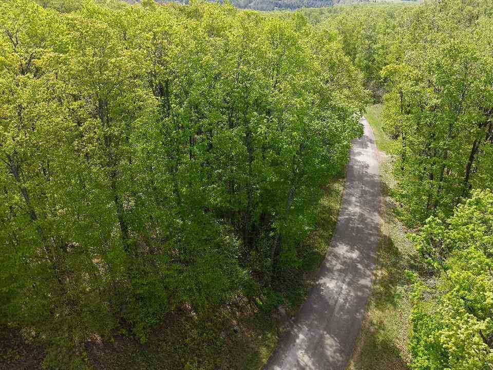 3402 Needles Drive Harbor Springs MI 49740