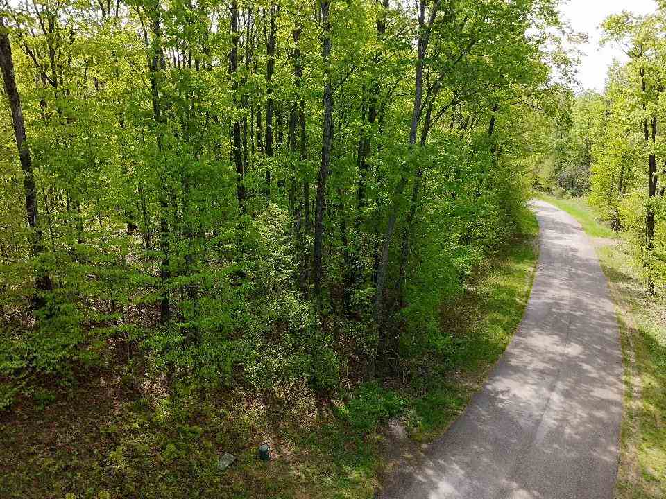 3402 Needles Drive Harbor Springs MI 49740