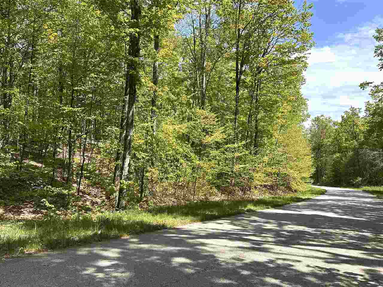 3402 Needles Drive Harbor Springs MI 49740