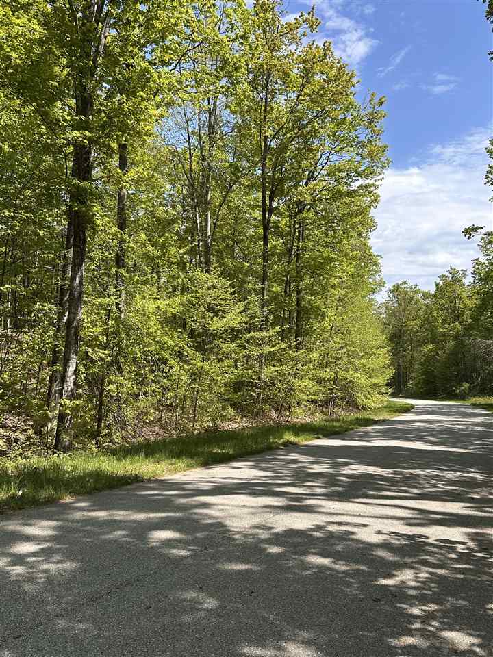3402 Needles Drive Harbor Springs MI 49740