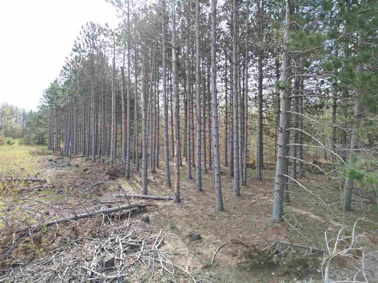 4372 Camp Daggett Road Boyne City MI 49712