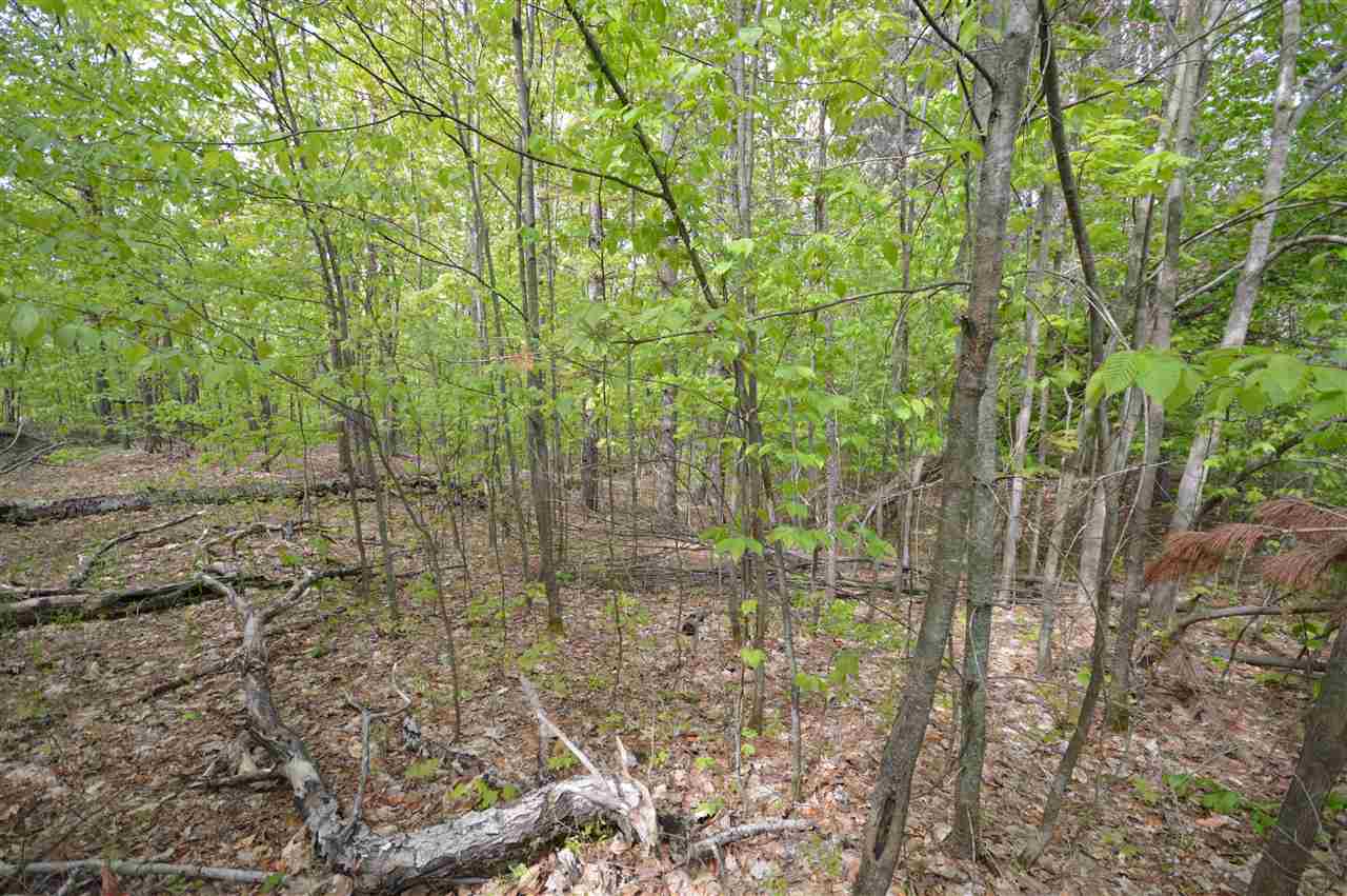 4372 Camp Daggett Road Boyne City MI 49712