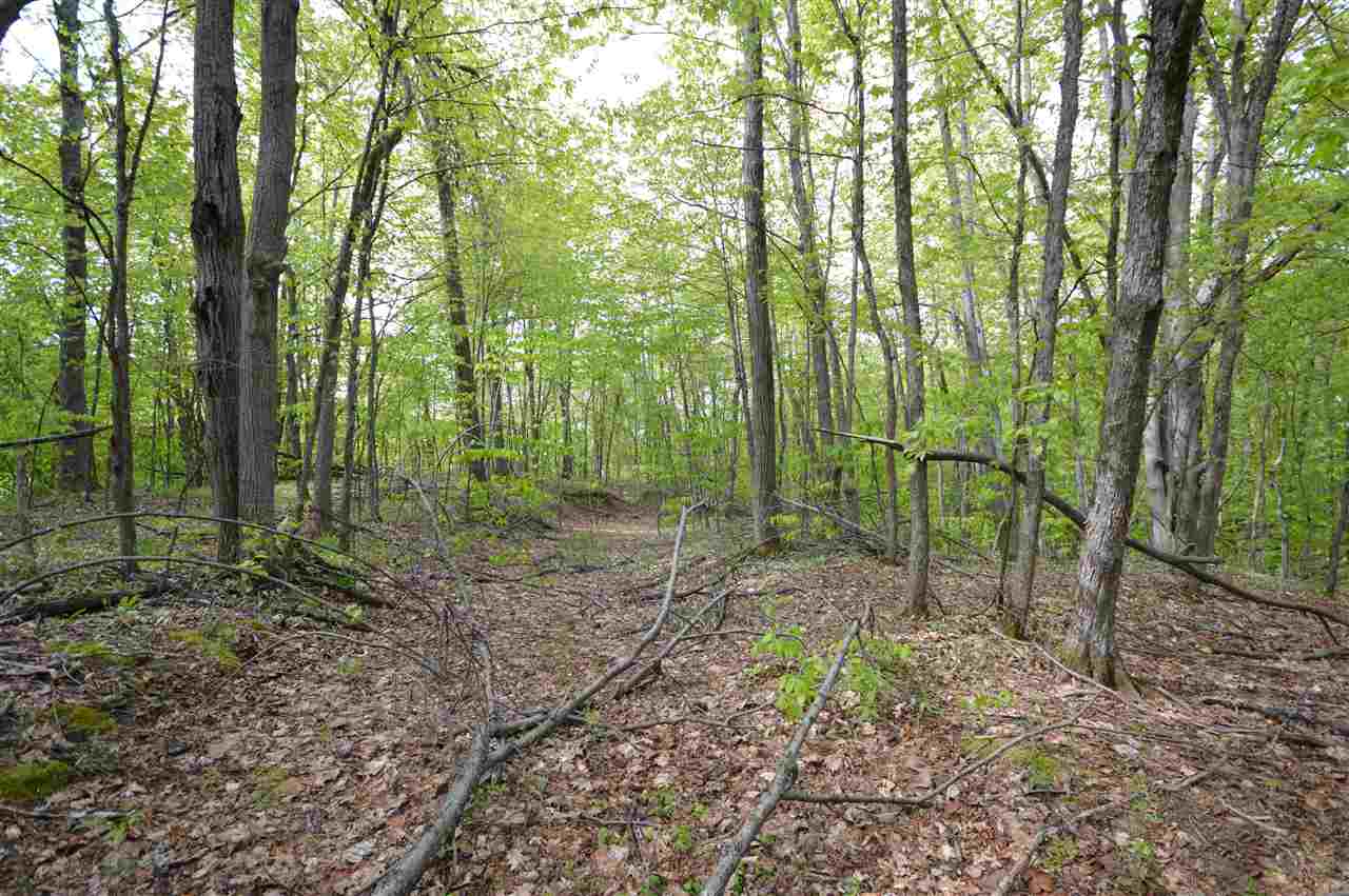 4372 Camp Daggett Road Boyne City MI 49712