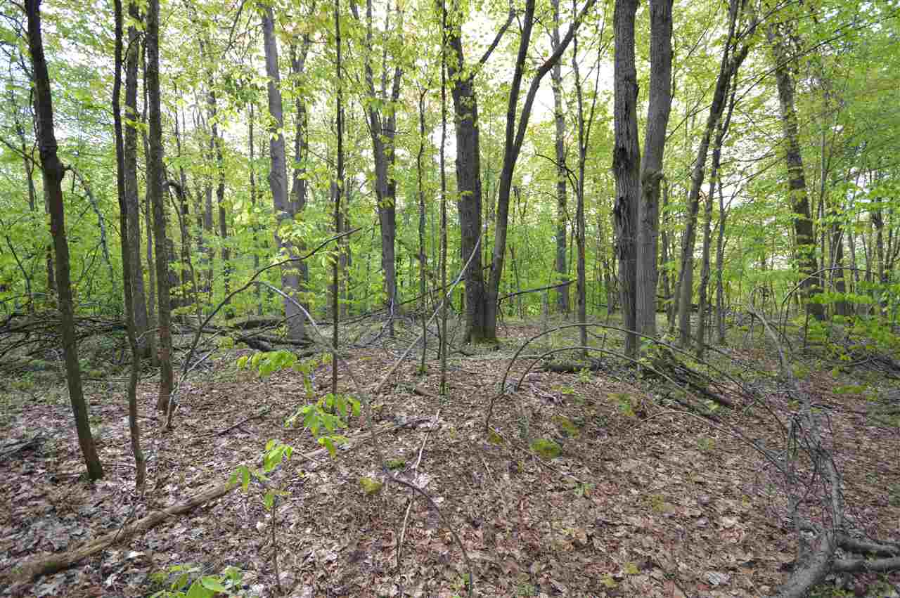 4372 Camp Daggett Road Boyne City MI 49712