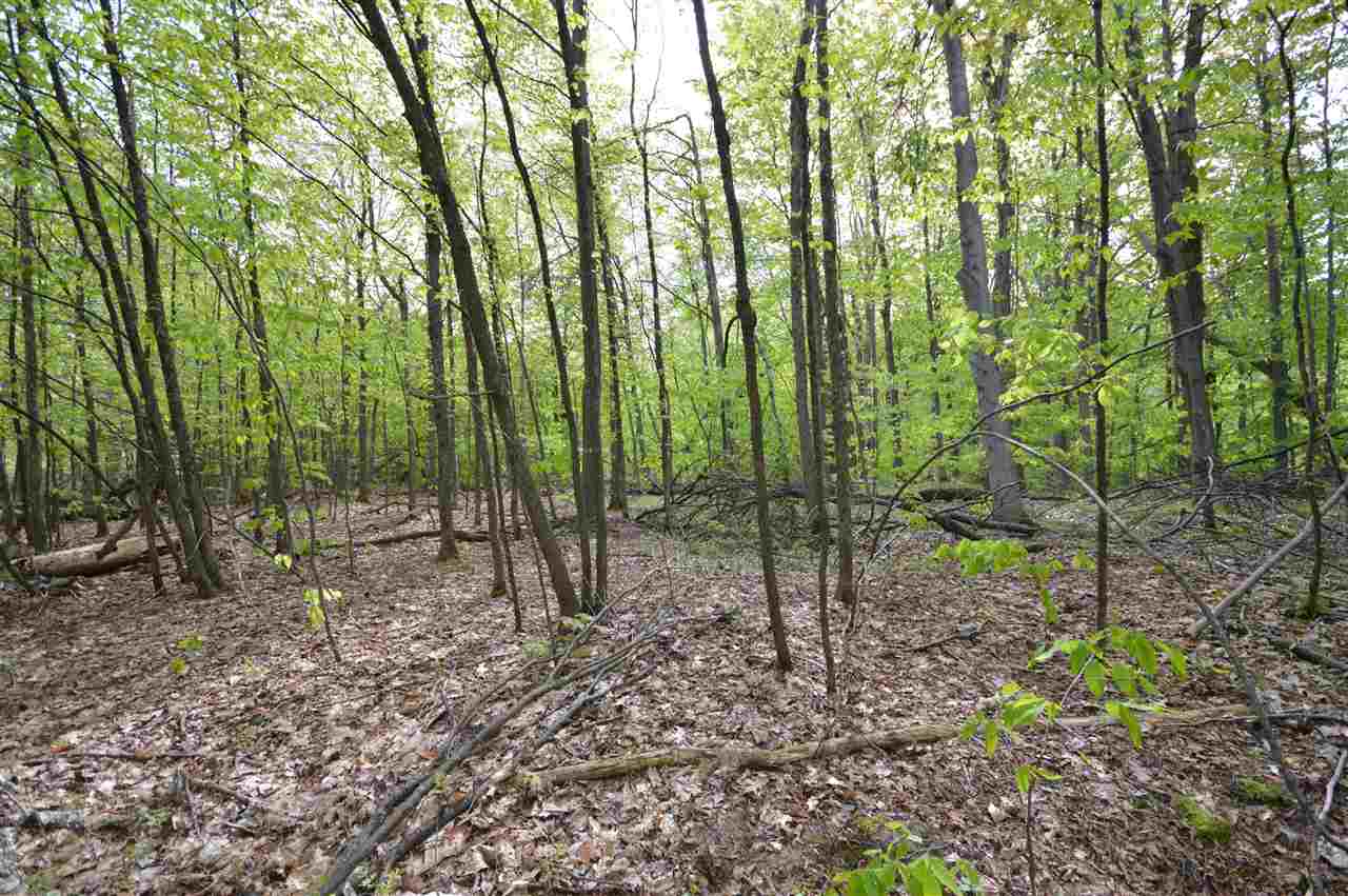 4372 Camp Daggett Road Boyne City MI 49712