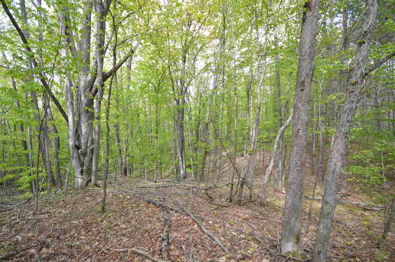 4372 Camp Daggett Road Boyne City MI 49712