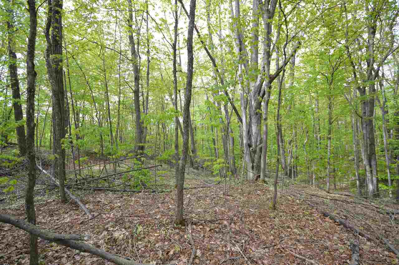 4372 Camp Daggett Road Boyne City MI 49712