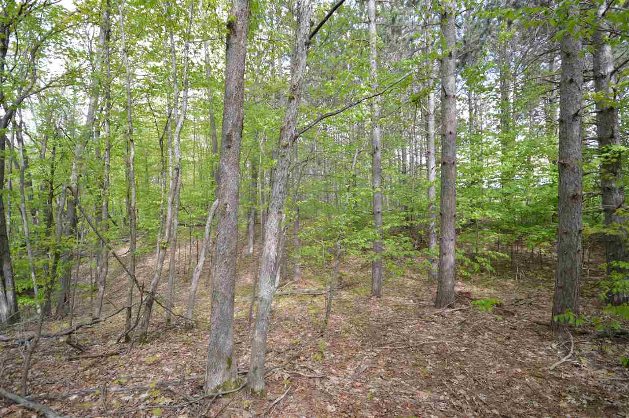 4372 Camp Daggett Road Boyne City MI 49712