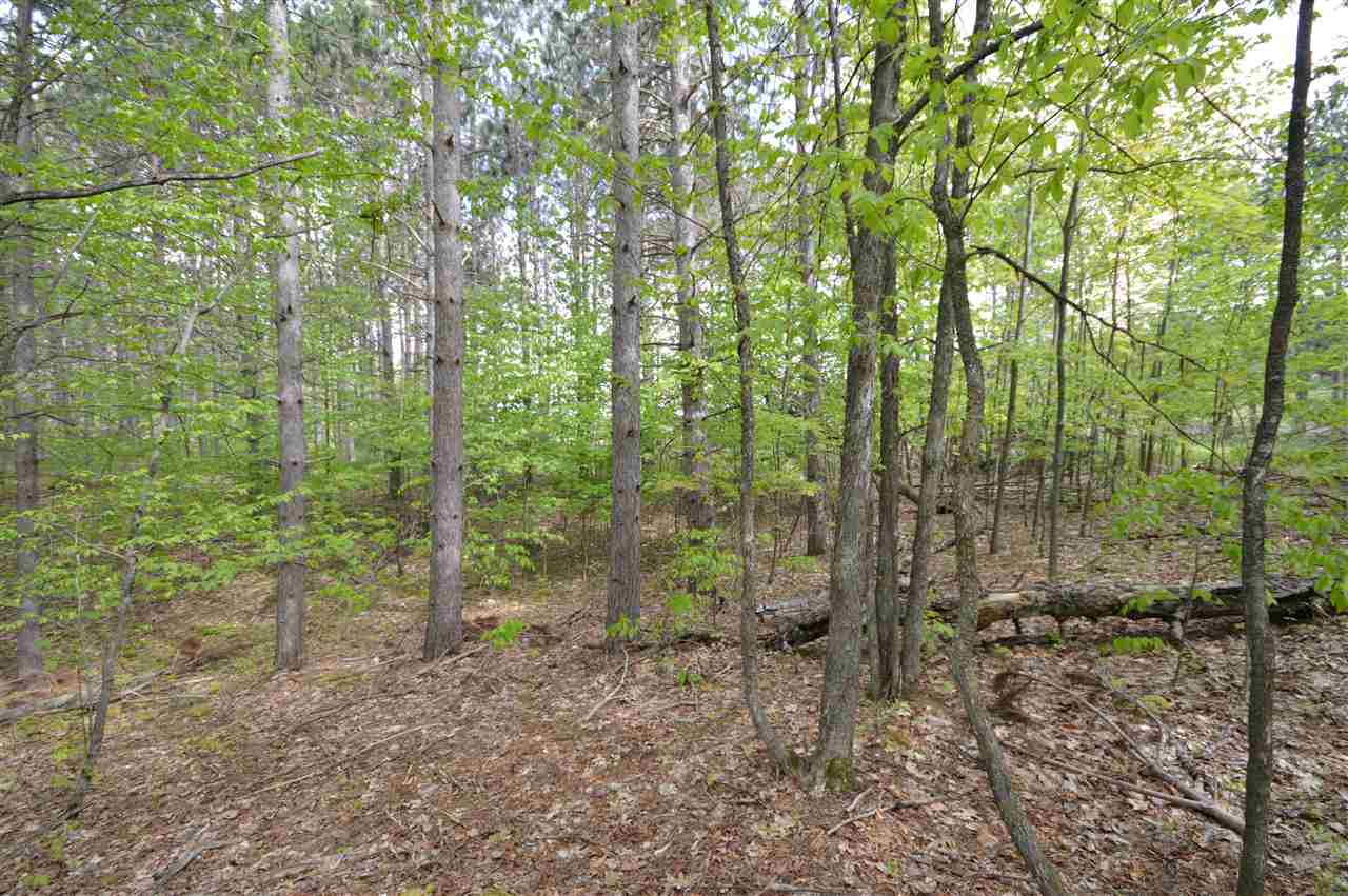 4372 Camp Daggett Road Boyne City MI 49712