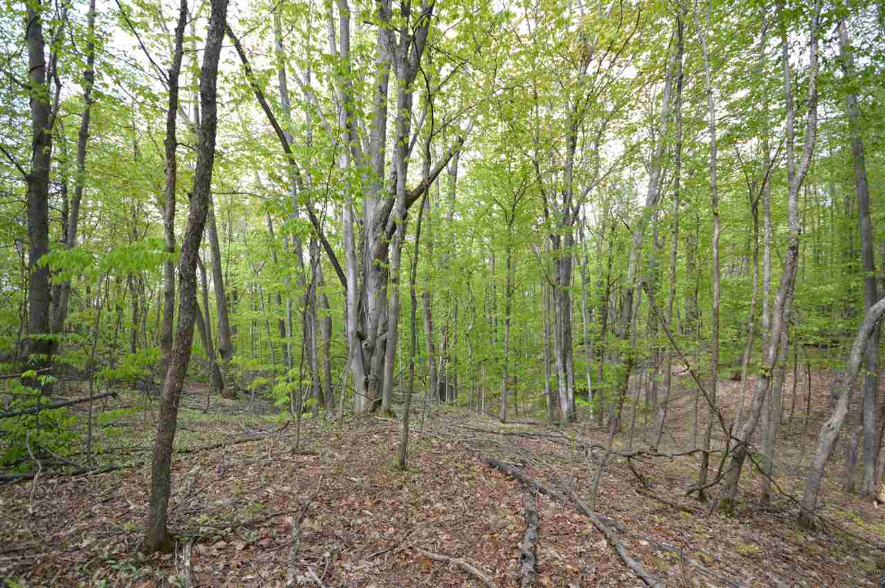 4372 Camp Daggett Road Boyne City MI 49712