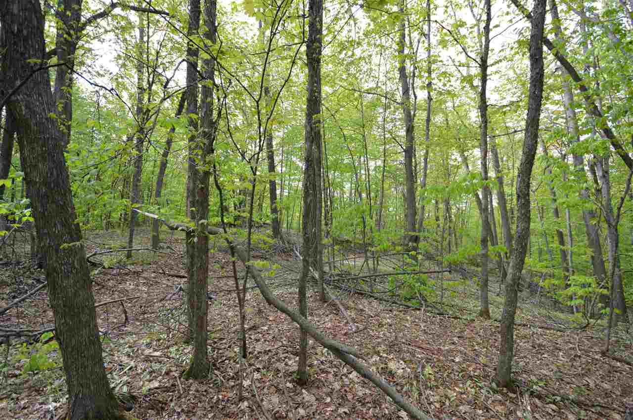 4372 Camp Daggett Road Boyne City MI 49712