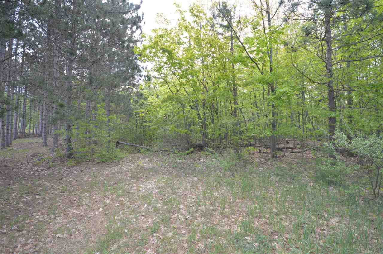 4372 Camp Daggett Road Boyne City MI 49712