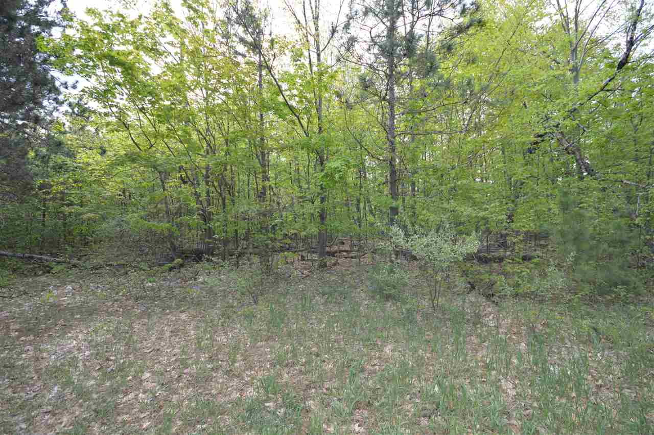 4372 Camp Daggett Road Boyne City MI 49712