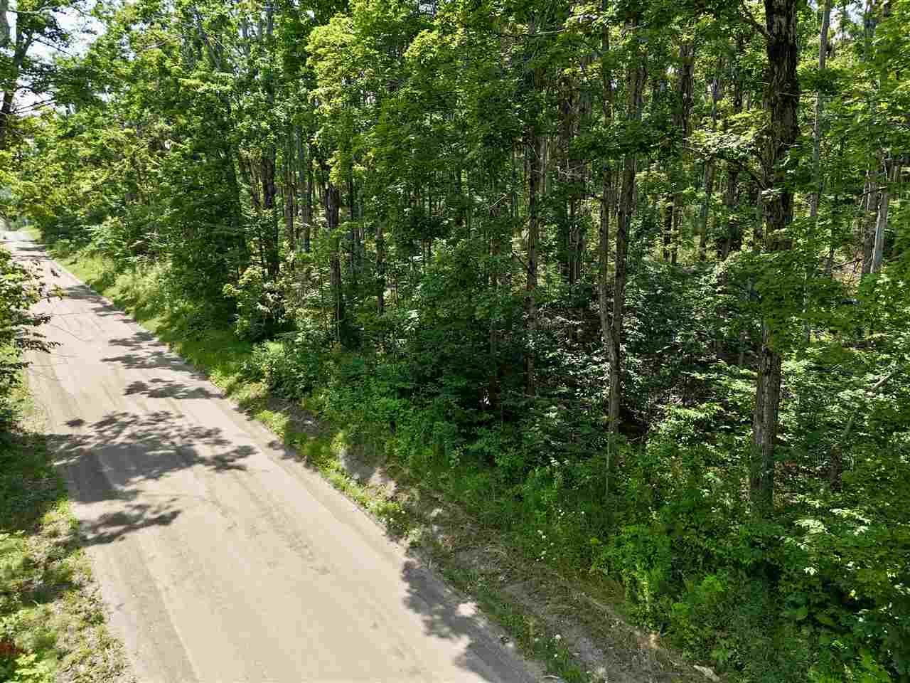 000 Magee Boyne Falls MI 49713