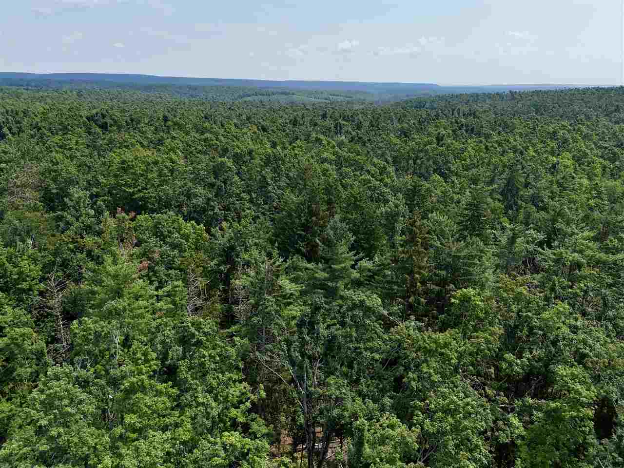 000 Magee Boyne Falls MI 49713