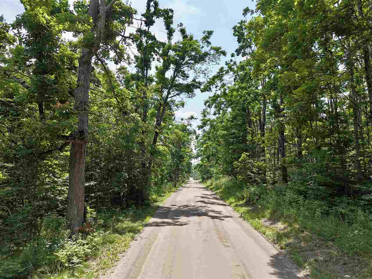000 Magee Boyne Falls MI 49713
